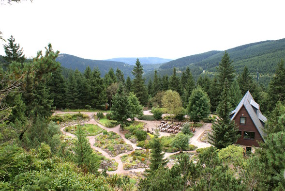 Rennsteiggarten Oberhof